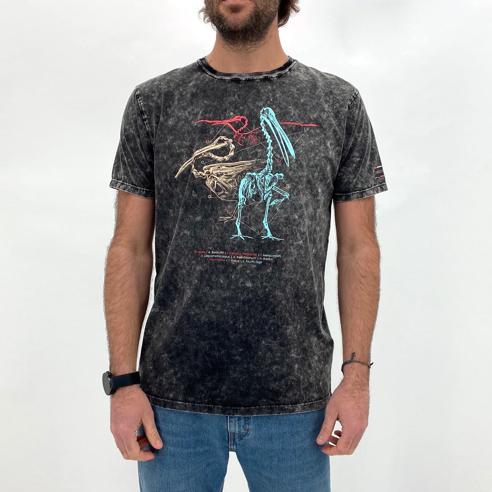 Image of Pelicanus Universalis T-Shirt