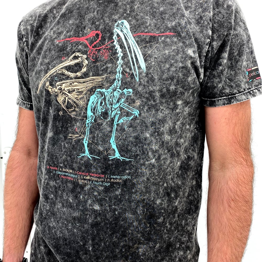 Image of Pelicanus Universalis T-Shirt