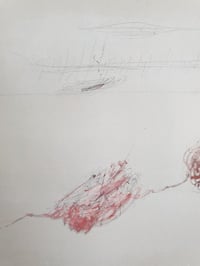 Image 5 of 'iron ore thickened in the carpet'