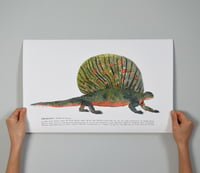 Image 1 of Edaphosaurus print
