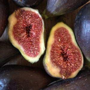 Image of The Fig Tree