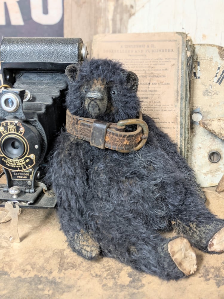 Image of Rare ALL BLACK Mohair 10" fat Teddy Bear antique leather collar by Whendi's Bears