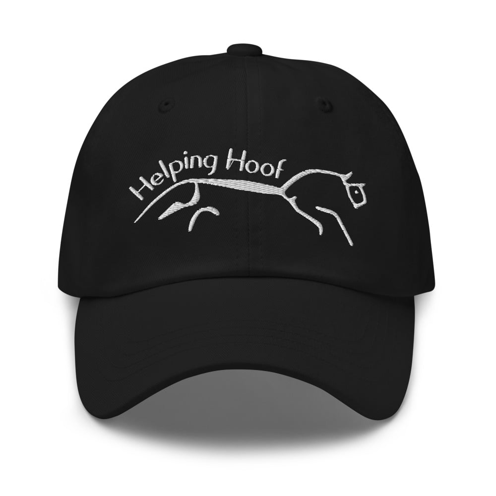 Image of  Logo Hat