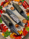 Sage / Incense Burner