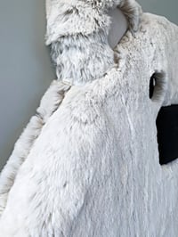 Image 3 of Polar Bear