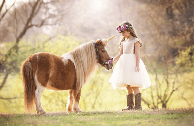 Image of Unicorn and Pony Mini-sessions - June 30th