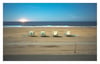 Bioluminescent Dockweiler #1. Los Angeles, CA - Lockdown 2020