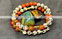 Image 1 of Ruby Dalmatian