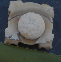 Image 1 of Amelio Aloe Vera Soap