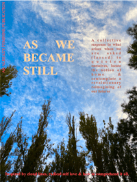 #2 AF zine : AS WE BECAME STILL