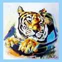 Tiger in the Bathroom 