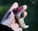 Image 3 of Laradorite Antler Mushroom Necklace