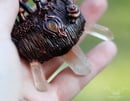 Image 4 of Hematite Quartz Mushroom Garden Necklace