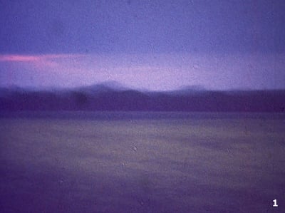 Image of Abendfeld / Night Field