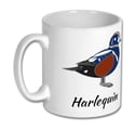 Harlequin Mug