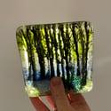 Woodland Coasters 