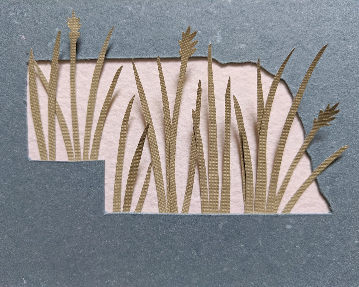 Image of Nebraska grasses cut paper