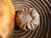 Image 1 of Martha Pumpkin Soap