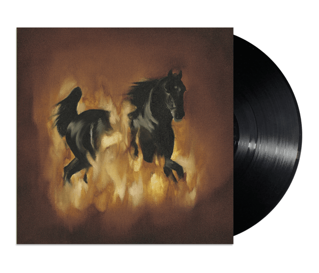 The Besnard Lakes Are the Dark Horse LP 