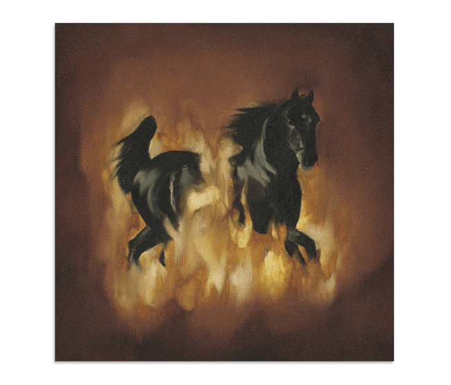 The Besnard Lakes are the Dark Horse CD