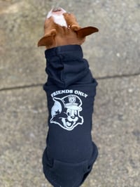 All Cats Are Bastards Dog Hoodie