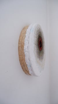 Image 3 of Target Evidence II