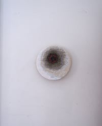 Image 2 of Target Evidence II