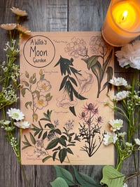 A Witch’s Moon Garden 