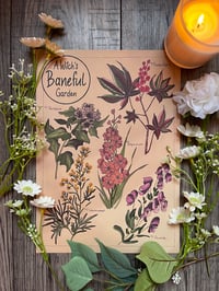 A Witch’s Baneful Garden 