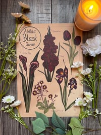 A Witch’s Black Garden A4