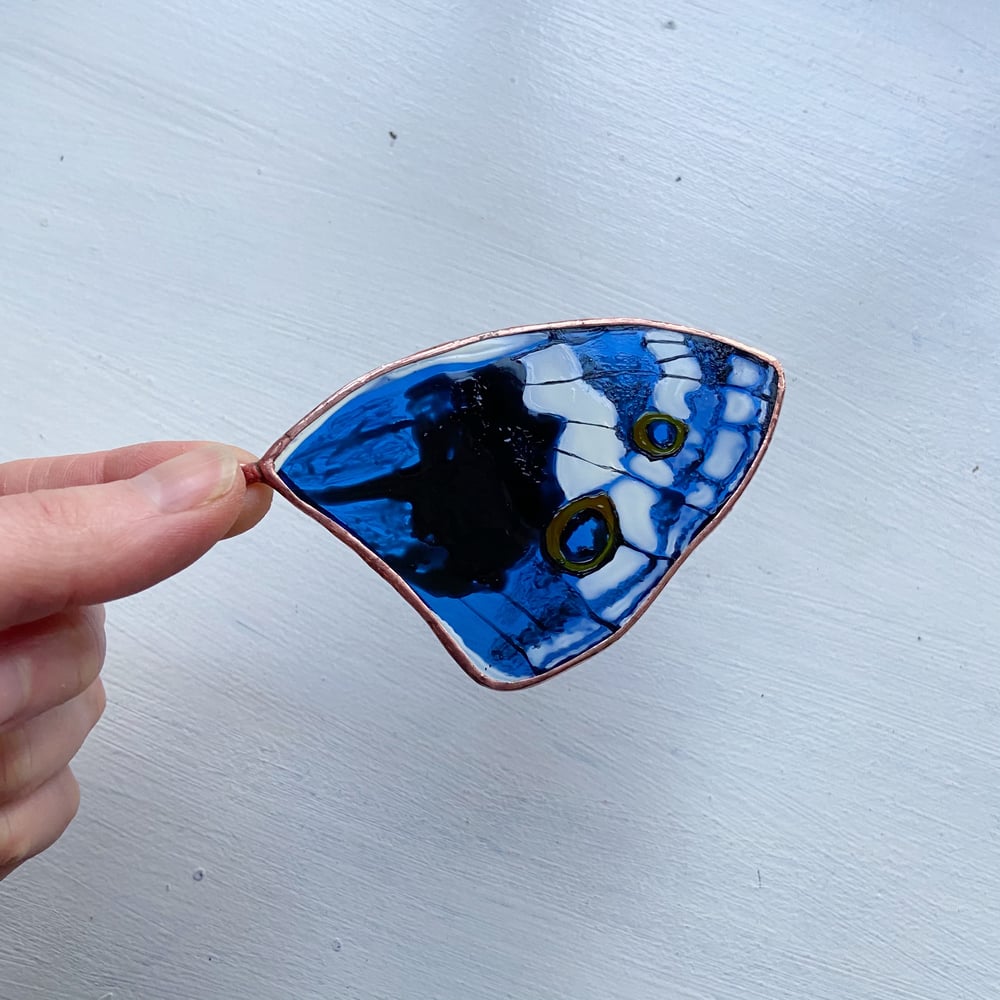 Image of Blue Pansy Butterfly Wing