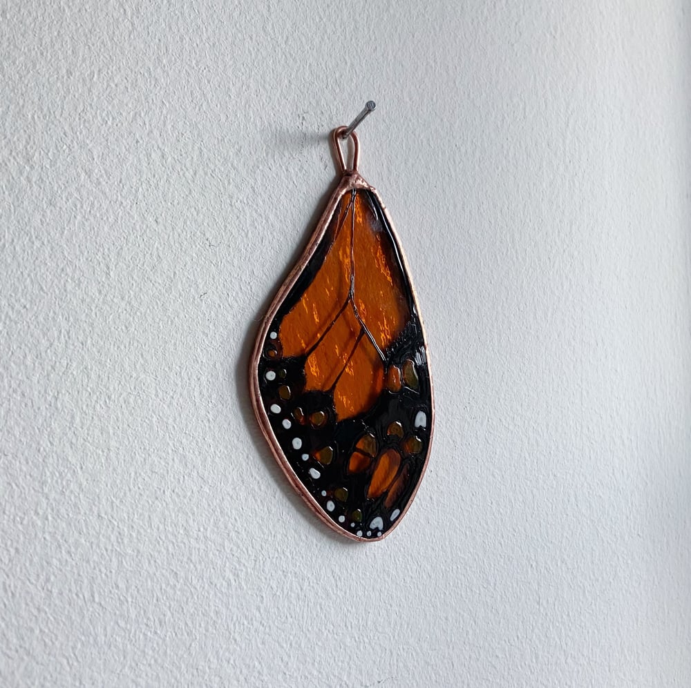 Image of Monarch Butterfly Wing no.2