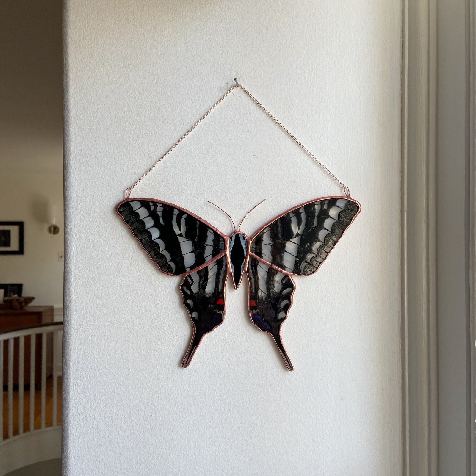 Zebra Swallowtail Butterfly Shadow Box, Butterfly Decor, hotsell Wing Art, Home Decor, Lepidoptera