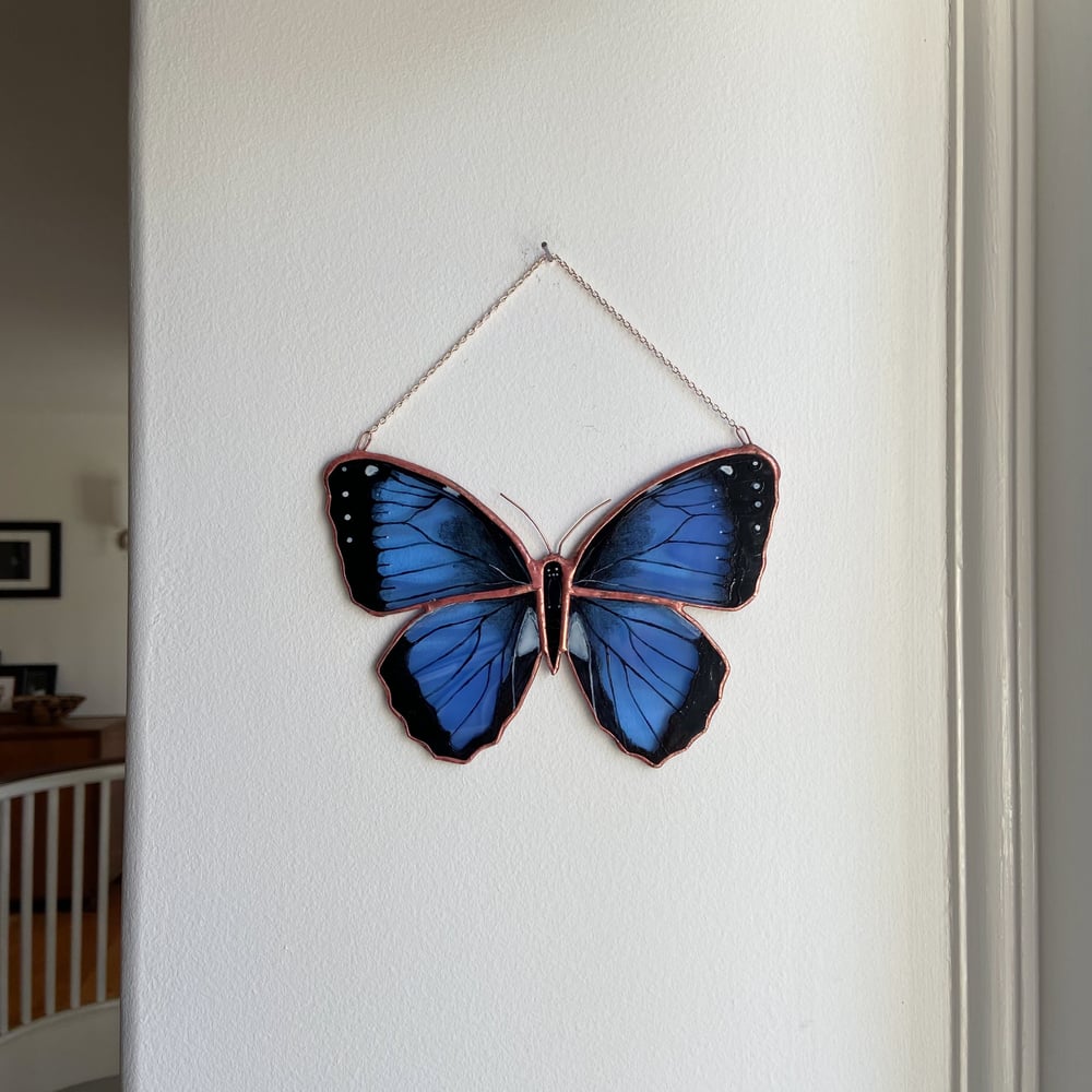 Image of Common Morpho Butterfly