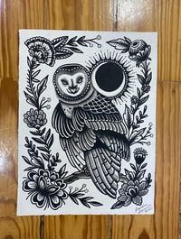 Owl