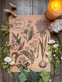 A Witch’s Herb Garden 