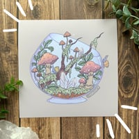 “Mushroom Terrarium” prints