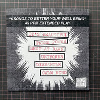 Image 2 of Bootlicker - How to Love Life 7" E.P.