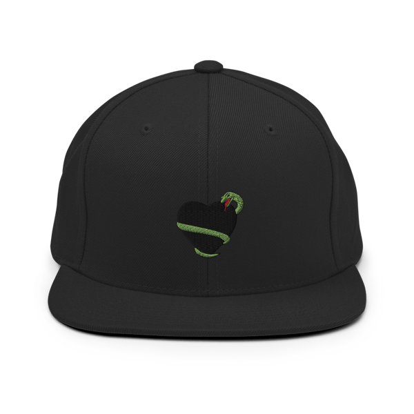 Image of Protect Your Heart Snapback (black)