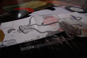 Image of Liger Discography Pack