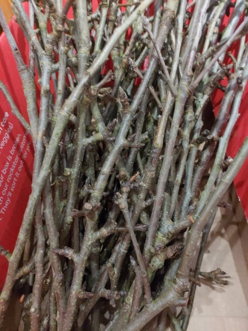Image of Apple branch pieces box 