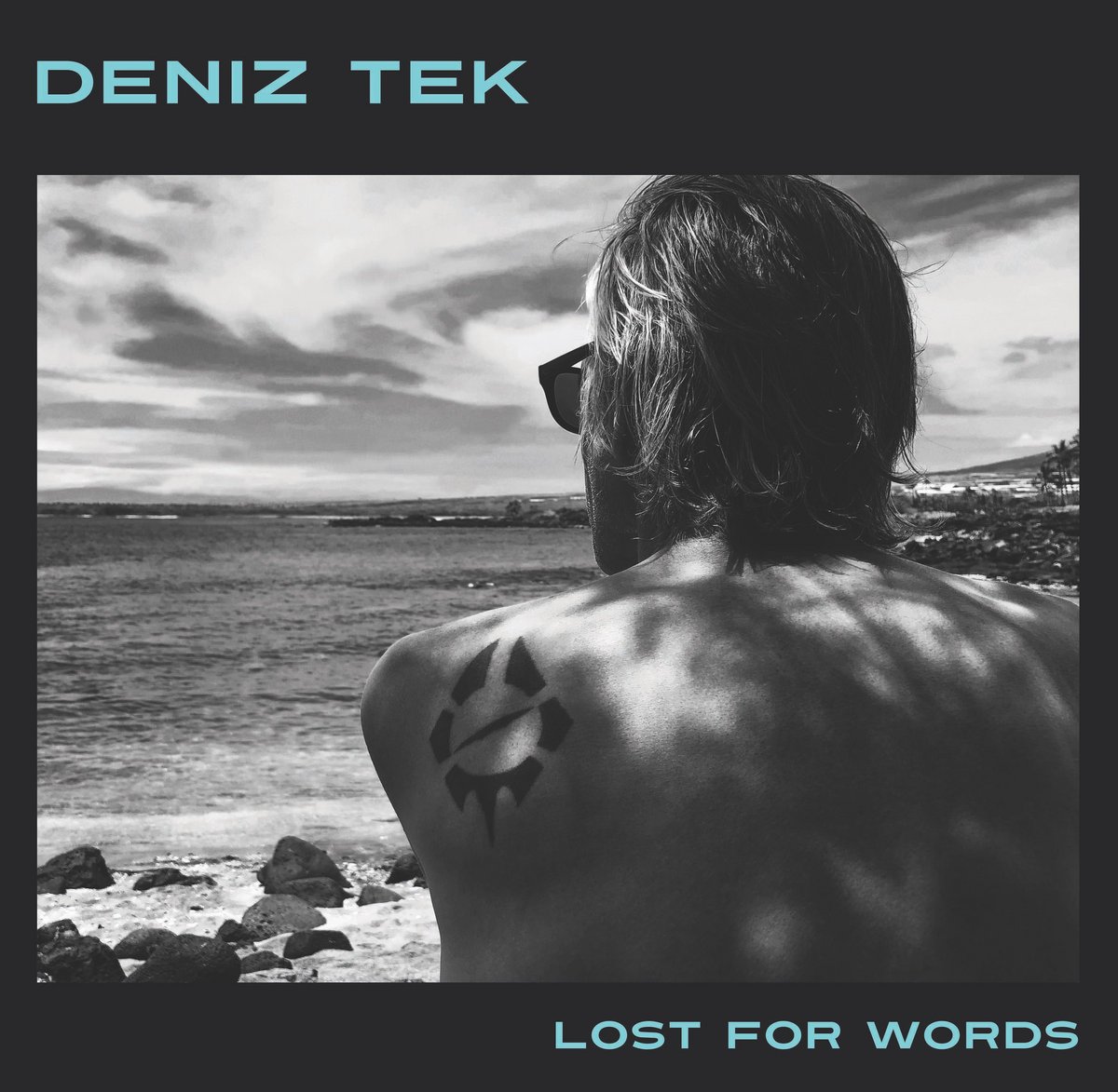 Image of Deniz Tek - Lost for words (Wild Honey Records) LP