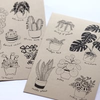 Image 1 of House Plant Friends - Postcards