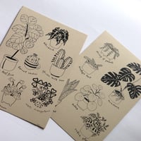 Image 2 of House Plant Friends - Postcards