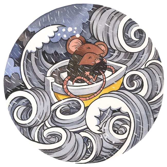 Seafaring Mice Cards - variety pack of 5