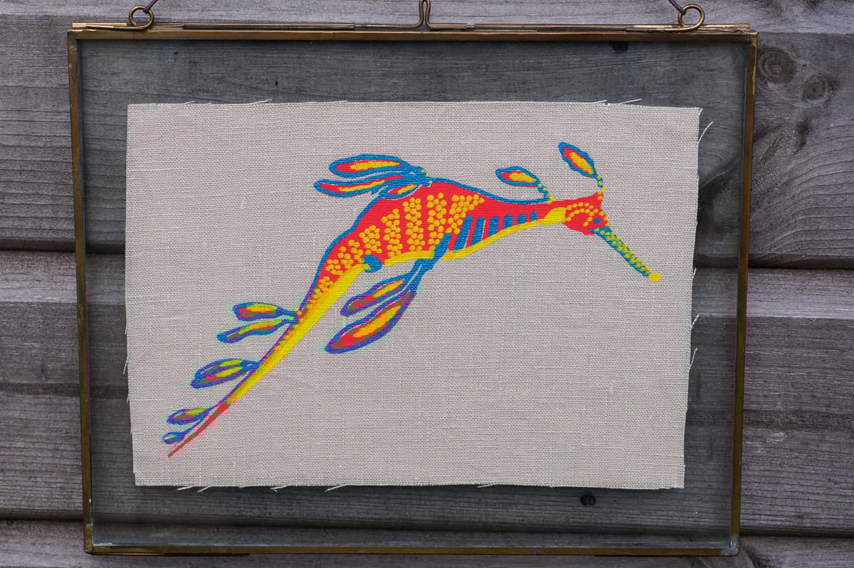 Image of Weedy seadragon (Yellow)