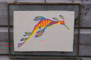 Image of Weedy seadragon (Yellow)