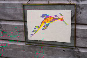 Image of Weedy seadragon (Yellow)