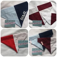 Image 3 of County Colours Dog Bandana
