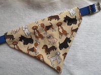 Image 1 of Assorted Doggos Dog Bandana